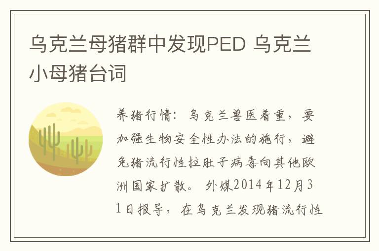 乌克兰母猪群中发现PED 乌克兰小母猪台词