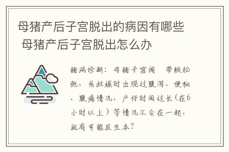 母猪产后子宫脱出的病因有哪些 母猪产后子宫脱出怎么办