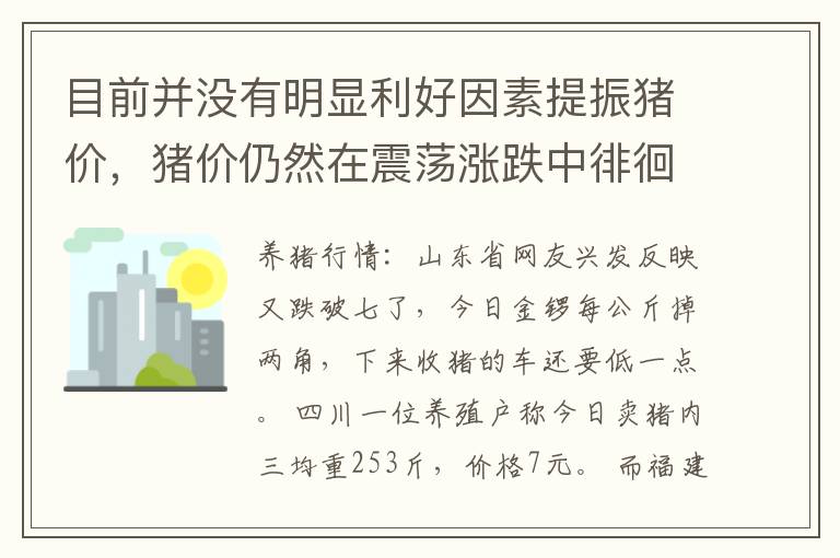 目前并没有明显利好因素提振猪价，猪价仍然在震荡涨跌中徘徊