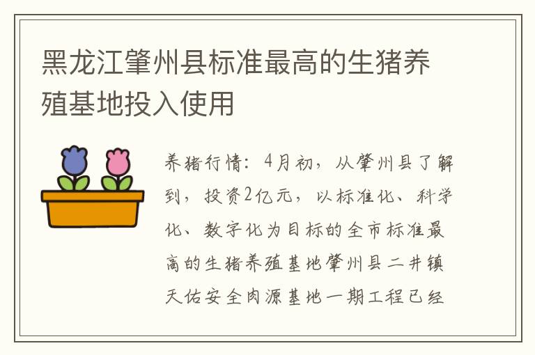 黑龙江肇州县标准最高的生猪养殖基地投入使用