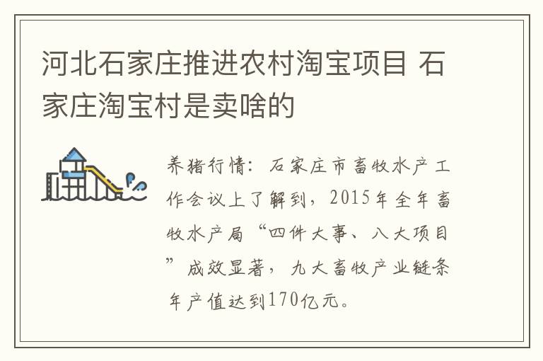 河北石家庄推进农村淘宝项目 石家庄淘宝村是卖啥的