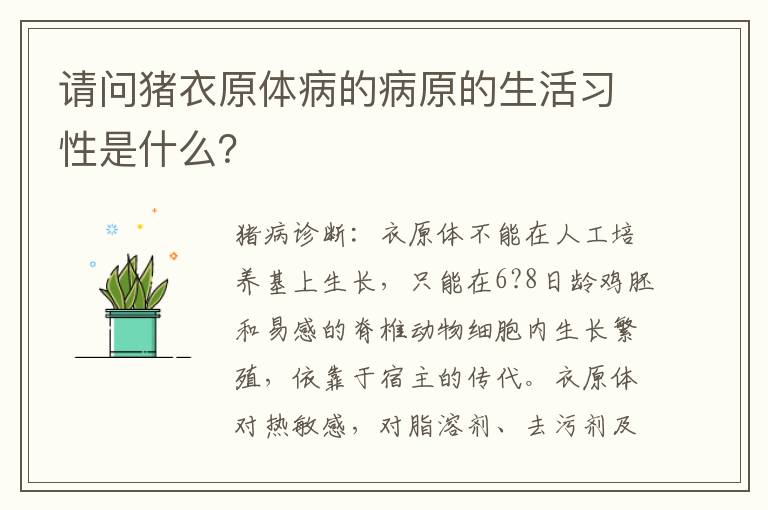 请问猪衣原体病的病原的生活习性是什么？