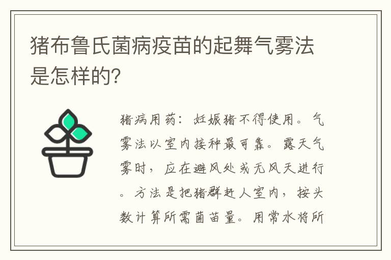 猪布鲁氏菌病疫苗的起舞气雾法是怎样的？