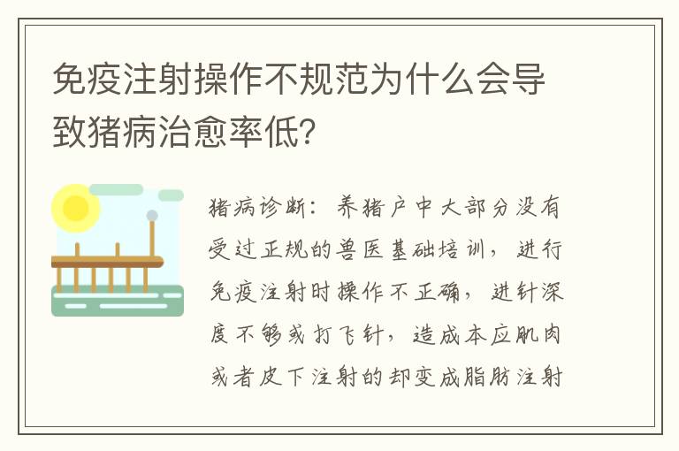 免疫注射操作不规范为什么会导致猪病治愈率低？