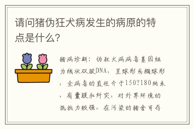 请问猪伪狂犬病发生的病原的特点是什么？