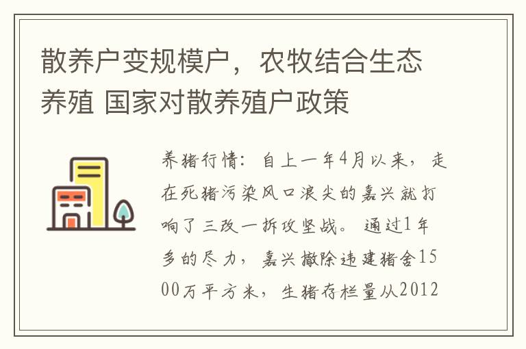 散养户变规模户，农牧结合生态养殖 国家对散养殖户政策