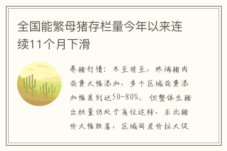 全国能繁母猪存栏量今年以来连续11个月下滑