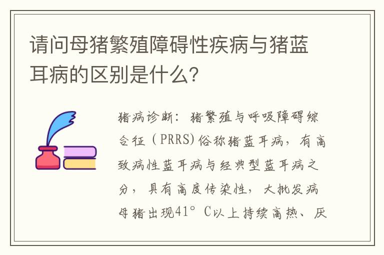 请问母猪繁殖障碍性疾病与猪蓝耳病的区别是什么？