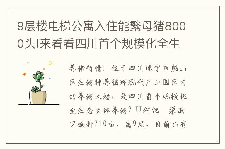 9层楼电梯公寓入住能繁母猪8000头!来看看四川首个规模化全生态立