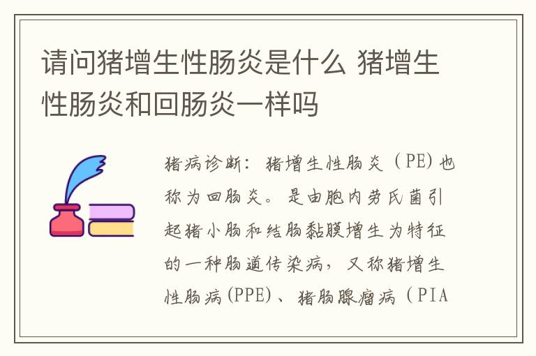 请问猪增生性肠炎是什么 猪增生性肠炎和回肠炎一样吗