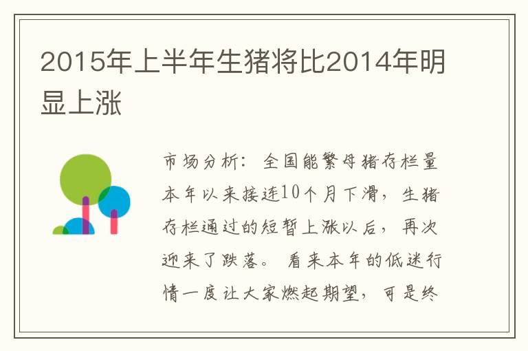 2015年上半年生猪将比2014年明显上涨