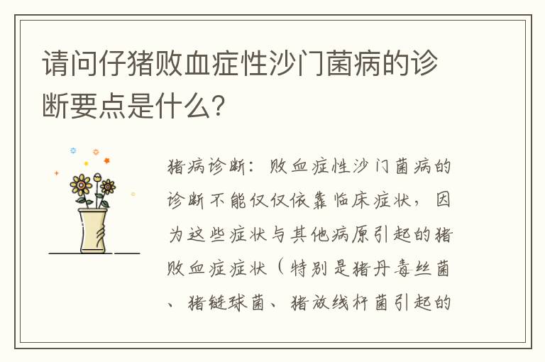 请问仔猪败血症性沙门菌病的诊断要点是什么？