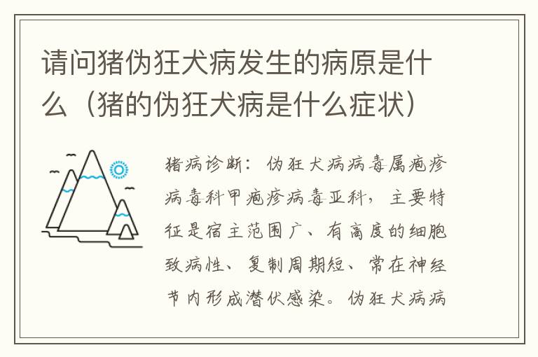 请问猪伪狂犬病发生的病原是什么（猪的伪狂犬病是什么症状）