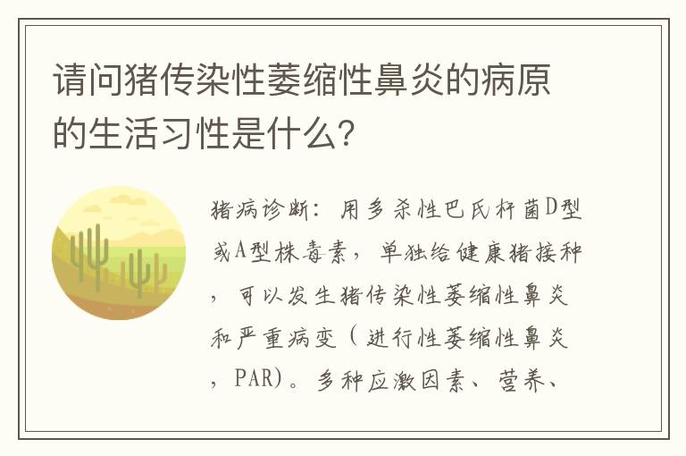 请问猪传染性萎缩性鼻炎的病原的生活习性是什么？