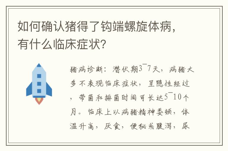 如何确认猪得了钩端螺旋体病，有什么临床症状？