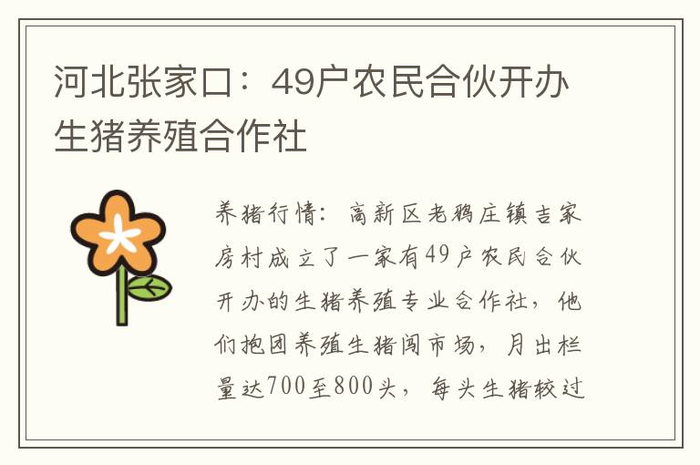 河北张家口：49户农民合伙开办生猪养殖合作社