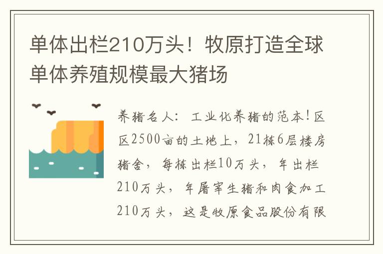 单体出栏210万头！牧原打造全球单体养殖规模最大猪场