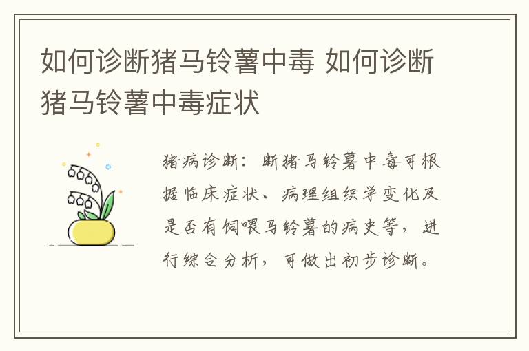 如何诊断猪马铃薯中毒 如何诊断猪马铃薯中毒症状