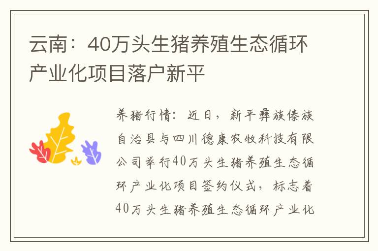 云南：40万头生猪养殖生态循环产业化项目落户新平