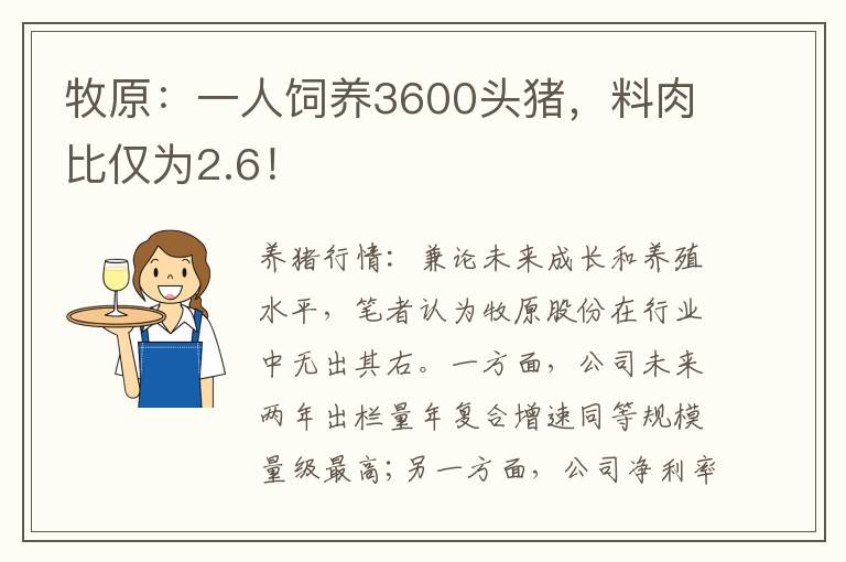 牧原：一人饲养3600头猪，料肉比仅为2.6！