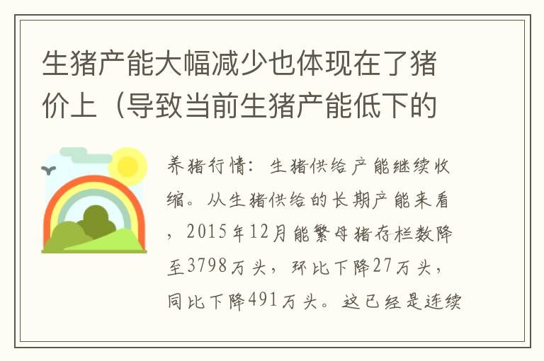 生猪产能大幅减少也体现在了猪价上（导致当前生猪产能低下的原因）