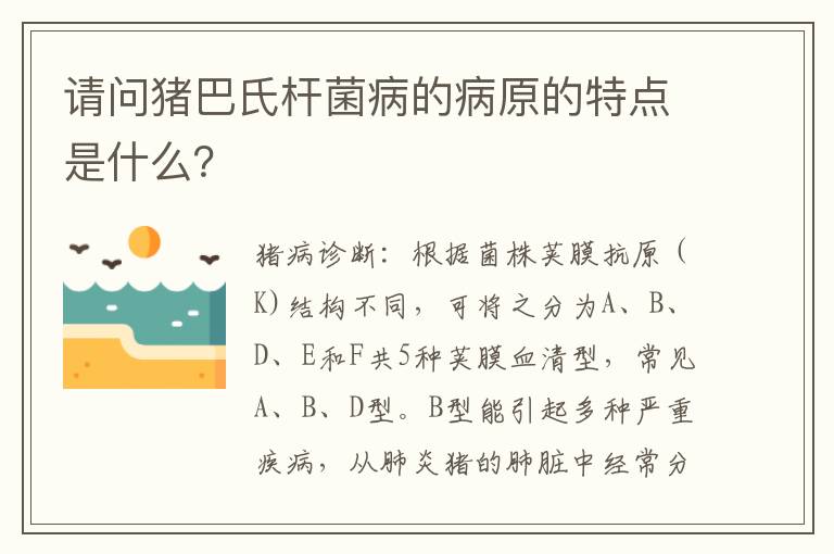 请问猪巴氏杆菌病的病原的特点是什么？