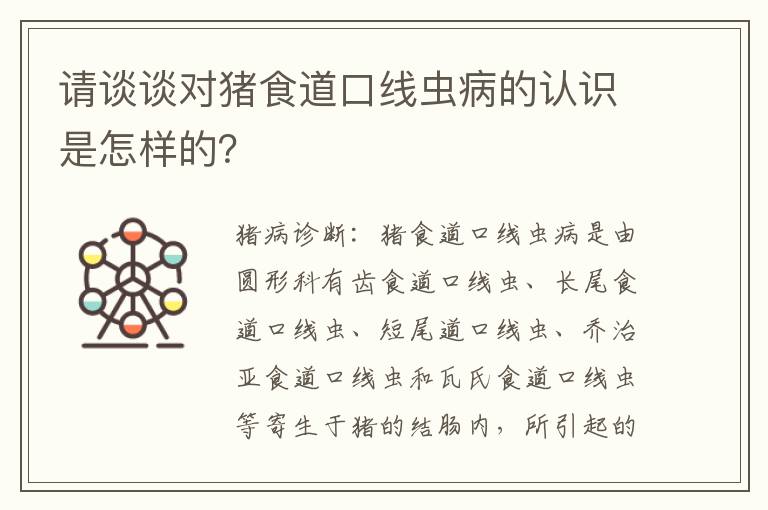 请谈谈对猪食道口线虫病的认识是怎样的？