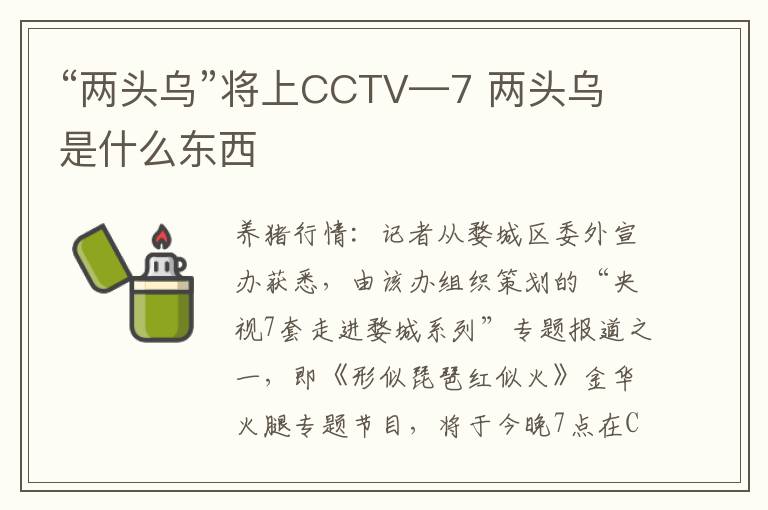 “两头乌”将上CCTV—7 两头乌是什么东西