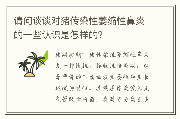 请问谈谈对猪传染性萎缩性鼻炎的一些认识是怎样的？