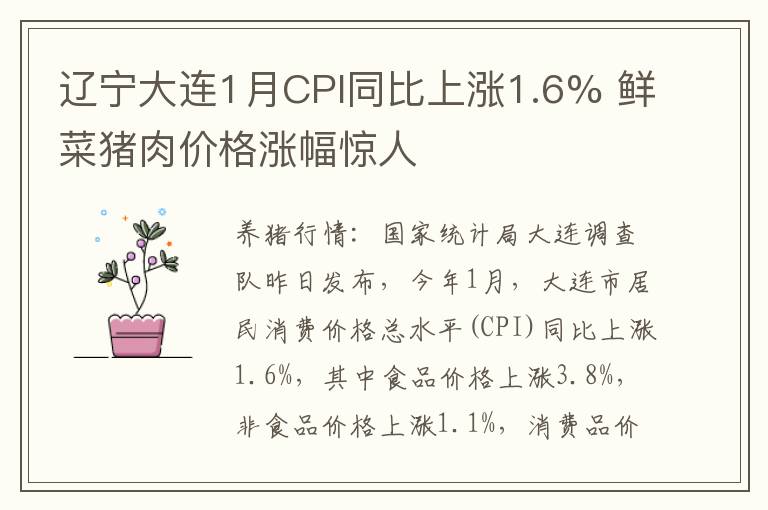 辽宁大连1月CPI同比上涨1.6% 鲜菜猪肉价格涨幅惊人