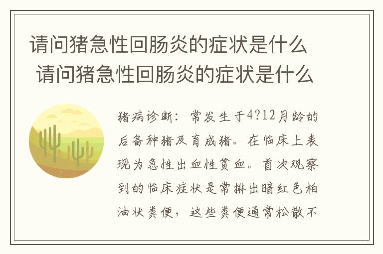 请问猪急性回肠炎的症状是什么 请问猪急性回肠炎的症状是什么样的