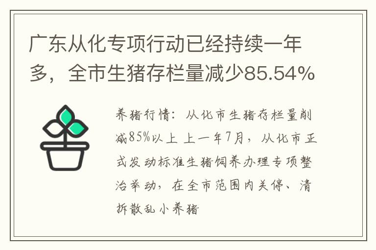 广东从化专项行动已经持续一年多，全市生猪存栏量减少85.54%