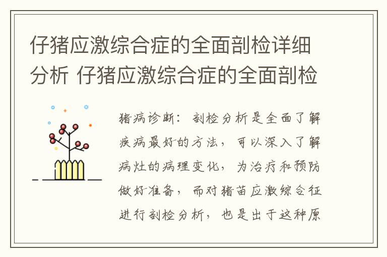 仔猪应激综合症的全面剖检详细分析 仔猪应激综合症的全面剖检详细分析图