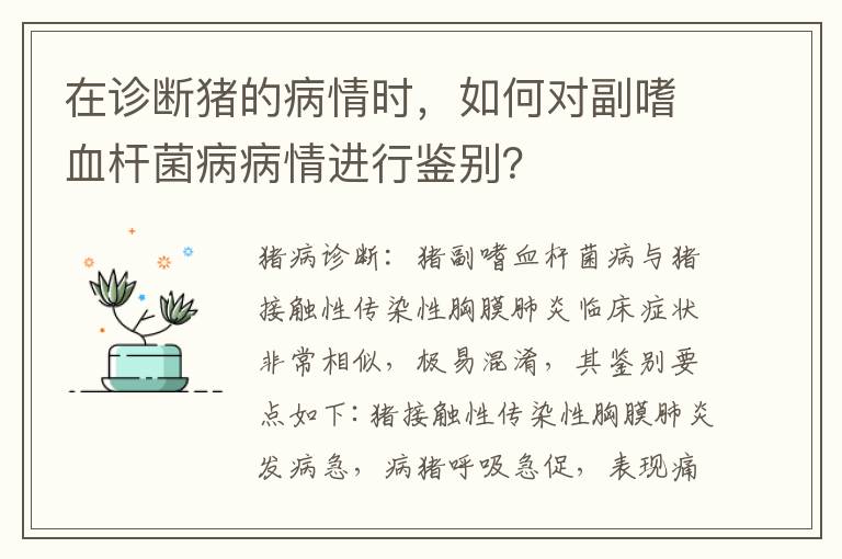 在诊断猪的病情时，如何对副嗜血杆菌病病情进行鉴别？