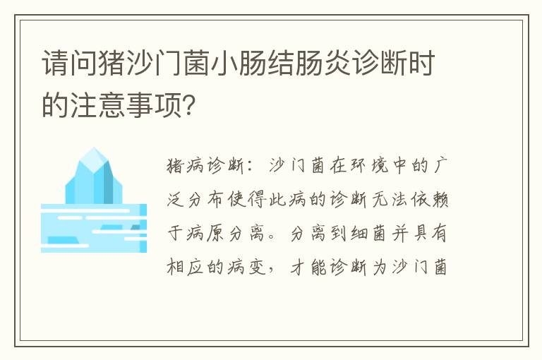 请问猪沙门菌小肠结肠炎诊断时的注意事项？