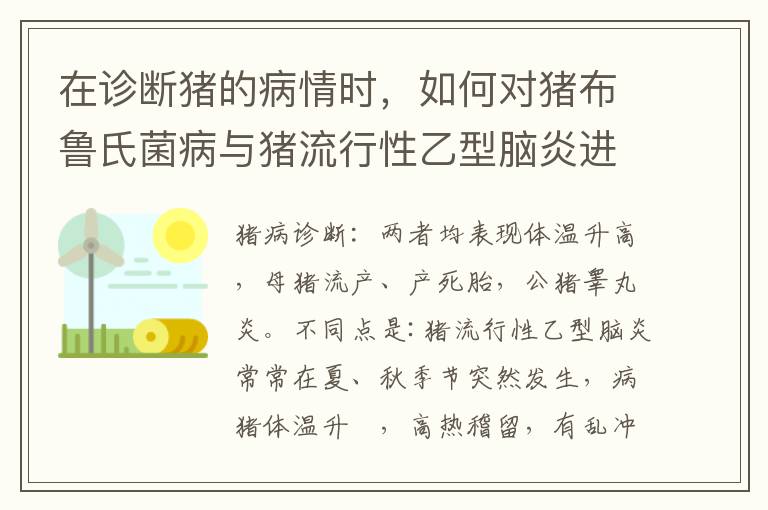 在诊断猪的病情时，如何对猪布鲁氏菌病与猪流行性乙型脑炎进行鉴