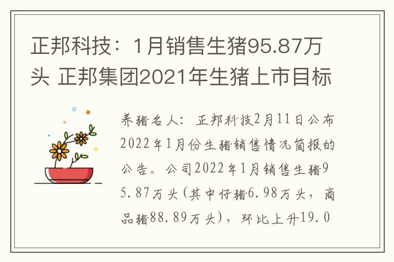 正邦科技：1月销售生猪95.87万头 正邦集团2021年生猪上市目标