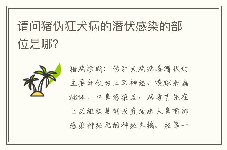 请问猪伪狂犬病的潜伏感染的部位是哪？