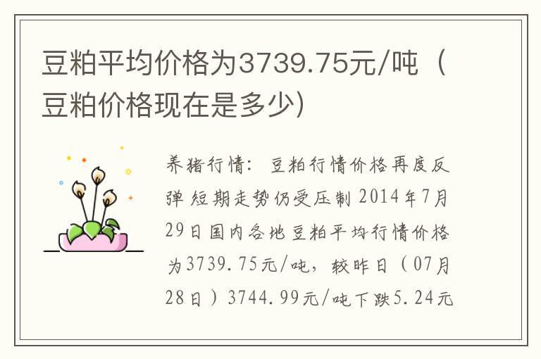 豆粕平均价格为3739.75元/吨（豆粕价格现在是多少）