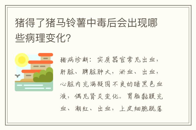 猪得了猪马铃薯中毒后会出现哪些病理变化？