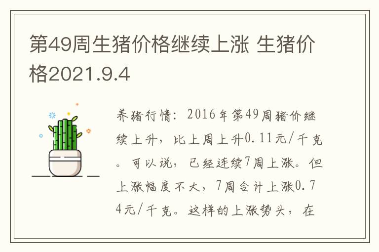 第49周生猪价格继续上涨 生猪价格2021.9.4