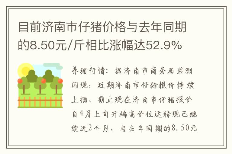 目前济南市仔猪价格与去年同期的8.50元/斤相比涨幅达52.9%