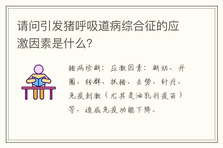 请问引发猪呼吸道病综合征的应激因素是什么？