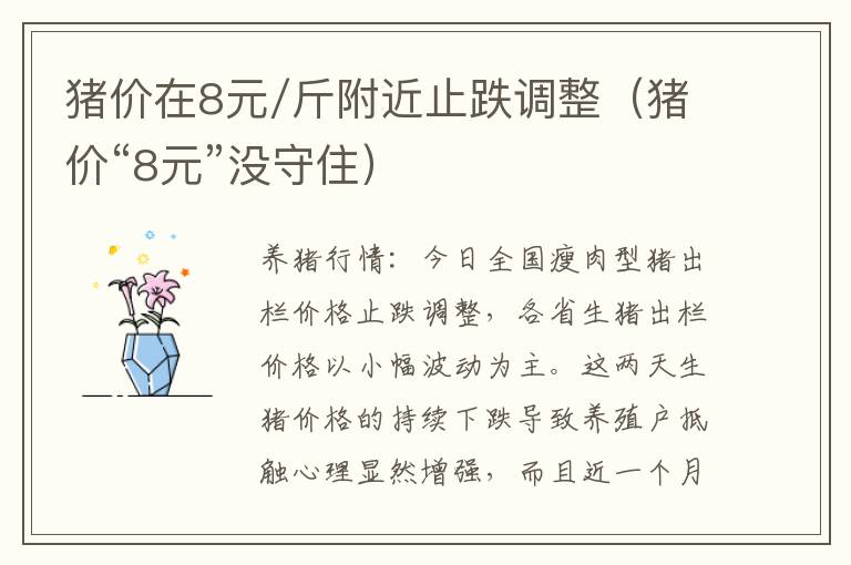 猪价在8元/斤附近止跌调整（猪价“8元”没守住）