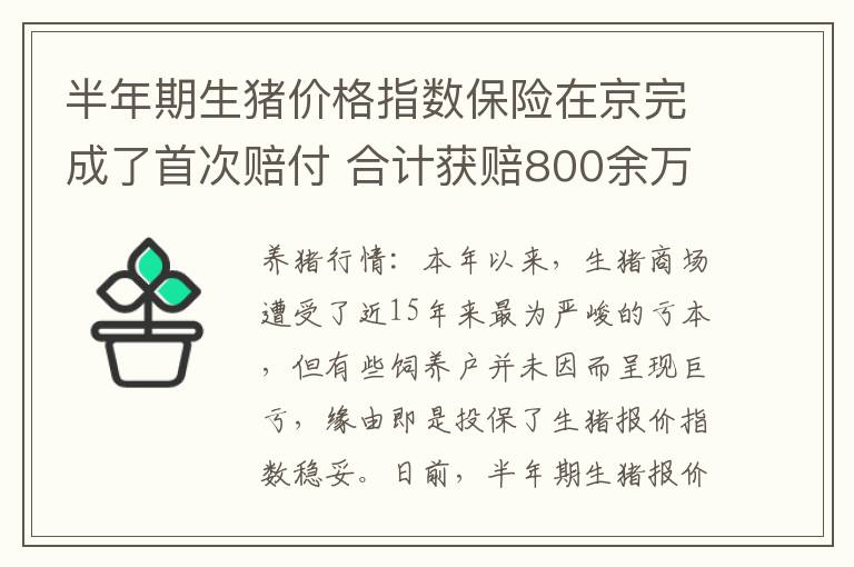 半年期生猪价格指数保险在京完成了首次赔付 合计获赔800余万元