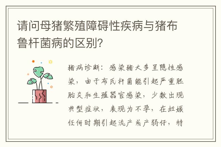 请问母猪繁殖障碍性疾病与猪布鲁杆菌病的区别？