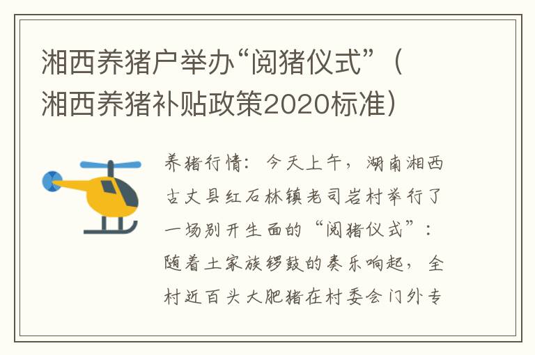 湘西养猪户举办“阅猪仪式”（湘西养猪补贴政策2020标准）