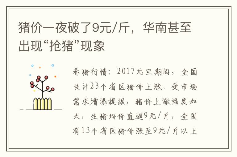 猪价一夜破了9元/斤，华南甚至出现“抢猪”现象