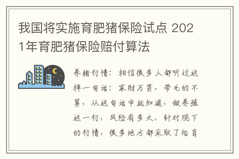 我国将实施育肥猪保险试点 2021年育肥猪保险赔付算法