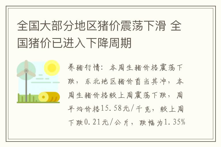 全国大部分地区猪价震荡下滑 全国猪价已进入下降周期